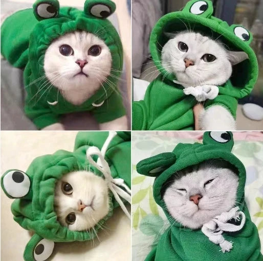 A close-up of a cat wearing a green frog design pet hoodie.