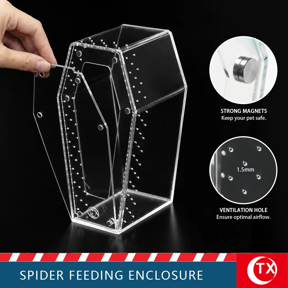 Clear acrylic spider feeding enclosure with a magnetic door and ventilation holes