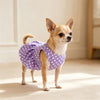 A small, light brown dog wearing a purple polka dot dress while standing indoors.