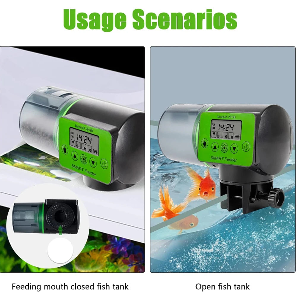 Dispositif d'alimentation automatique pour poissons avec écran vert nourrissant des poissons-clowns dans un aquarium ouvert