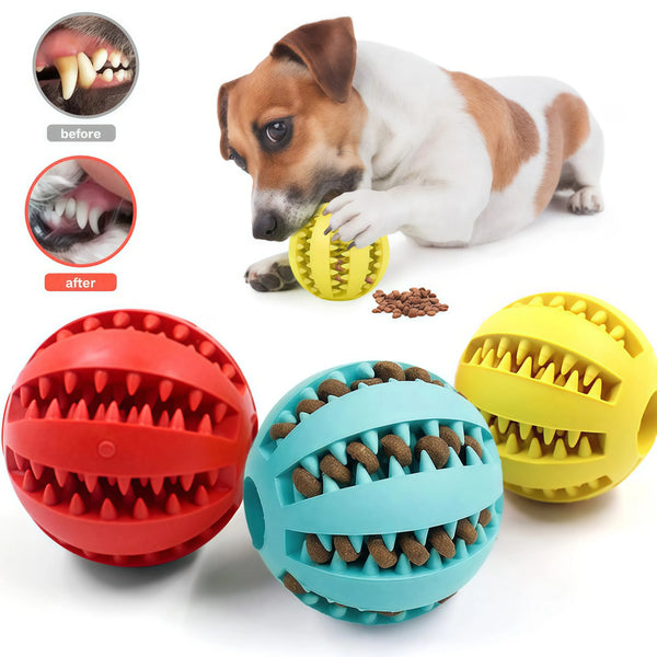 A dog is shown with before and after mouth images, alongside three rubber balls for dispensing treats.