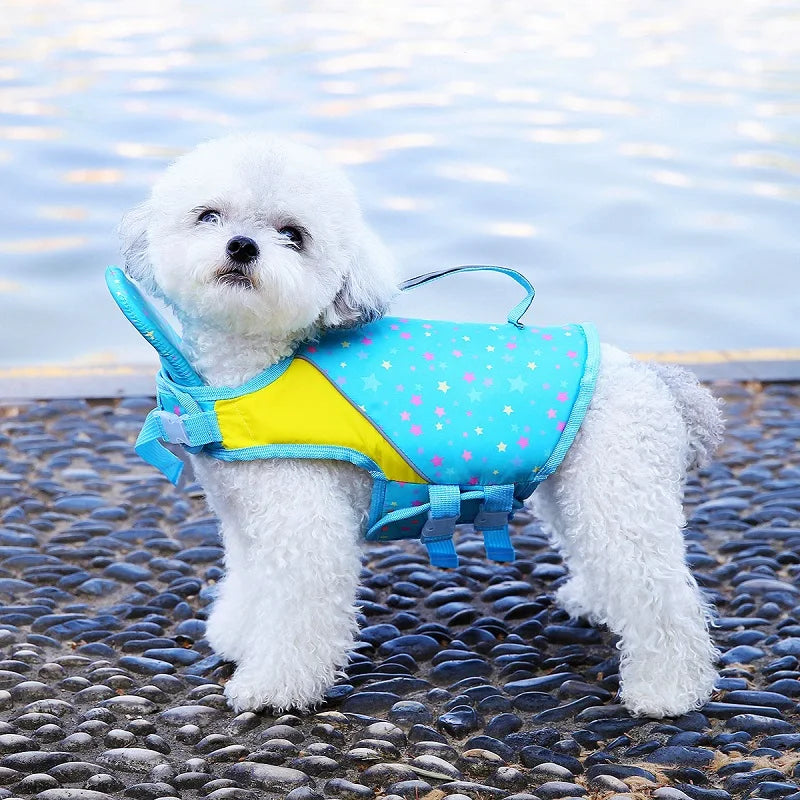 A white poodle wearing a blue and yellow life jacket sits on dark, wet stones.