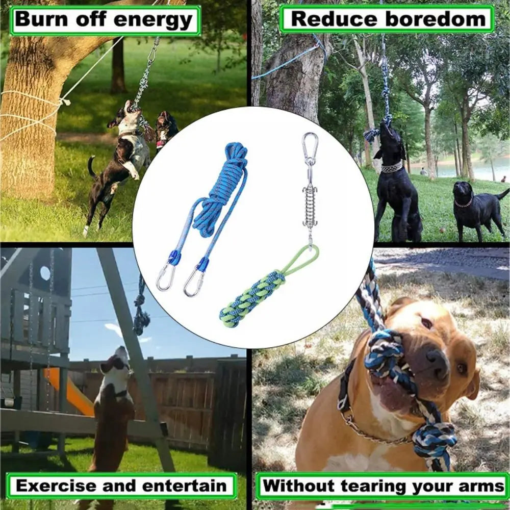 A dog is playing with a durable bite-resistant spring pole toy made with cotton rope.