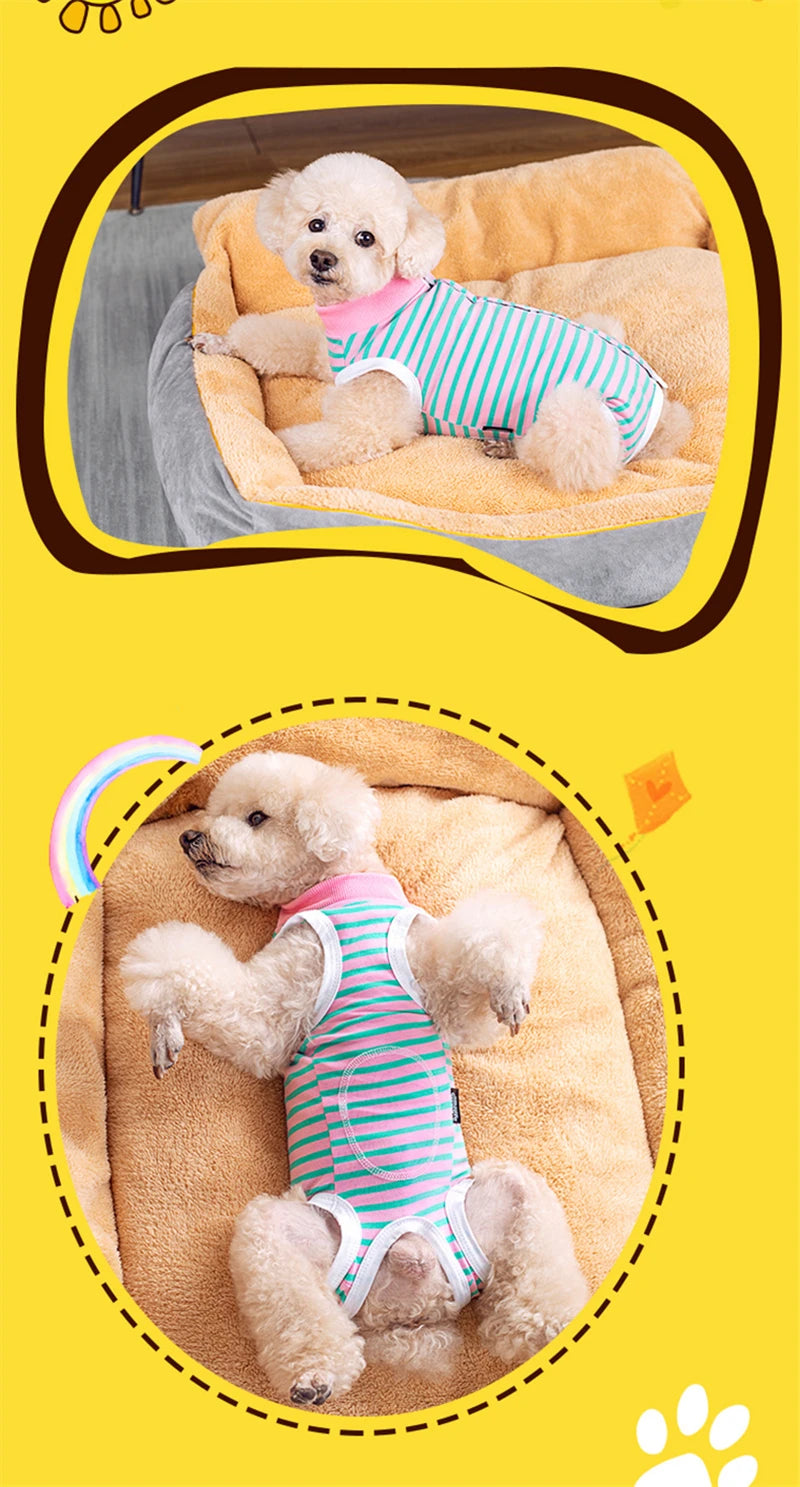 A fluffy light-colored dog wearing a striped cotton recovery suit with anti-lick protection, resting in a soft, beige fabric 
