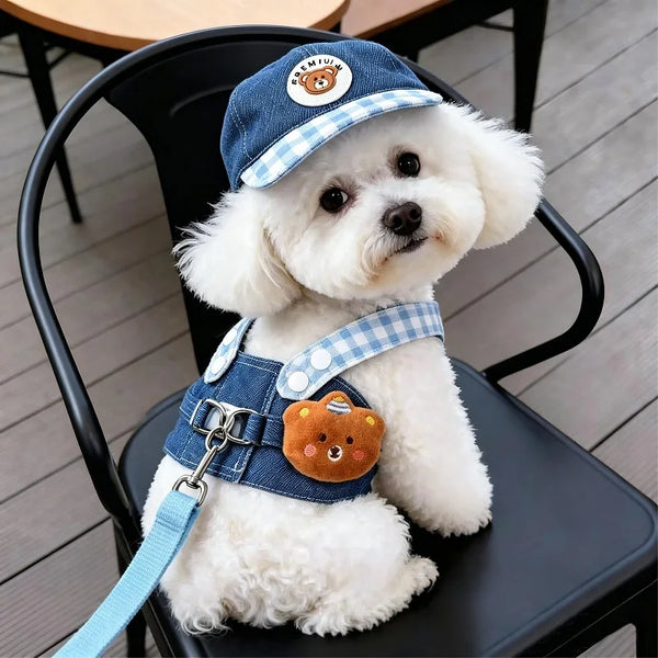 Un chien blanc portant un chapeau à carreaux bleu et blanc et une laisse avec un charm de ours et une harnais.
