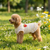 A fluffy golden dog wearing a yellow gingham dress with strawberry embroidery in a grassy park.