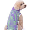 A light tan poodle wearing a purple and green striped cotton recovery suit.