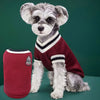 A small, fluffy dog wearing a maroon V-neck knit vest with white trim.