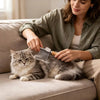 Eine Frau benutzt eine professionelle Fellpflegebürste auf eine flauschige graue Katze, die auf einem Sofa liegt.
