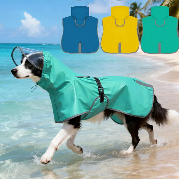 A black and white dog is running in shallow water wearing a teal raincoat, with color options displayed above.