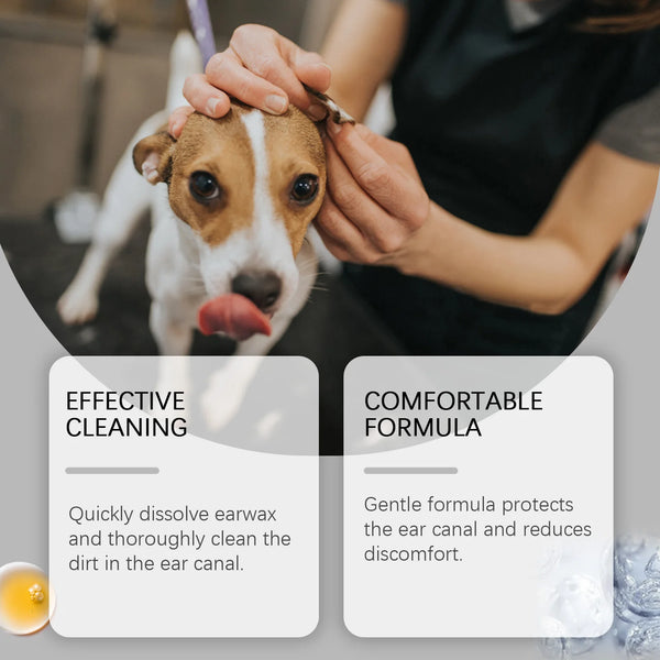 A person gently cleans the ear of a dog with drops, emphasizing effective cleaning and a comfortable formula.