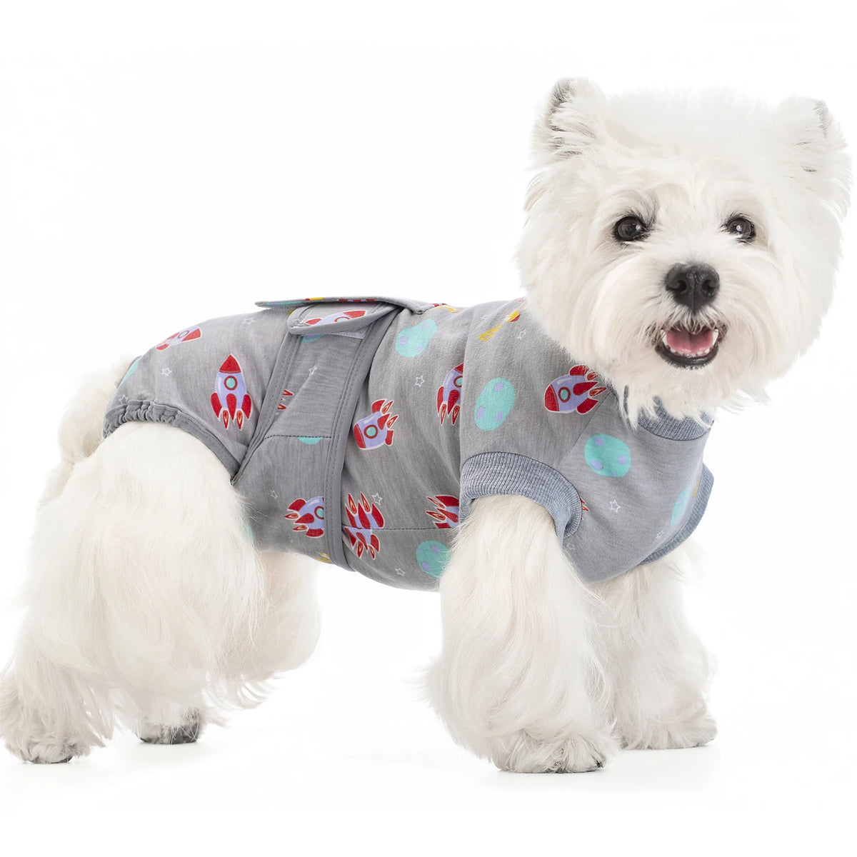 Un chien blanc portant une tenue de récupération grise avec des motifs brodés colorés.