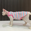 A white cat wearing a pink and blue striped stretchy tank top for pets.