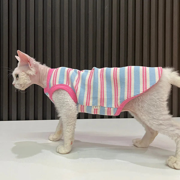A white cat wearing a pink and blue striped stretchy tank top for pets.