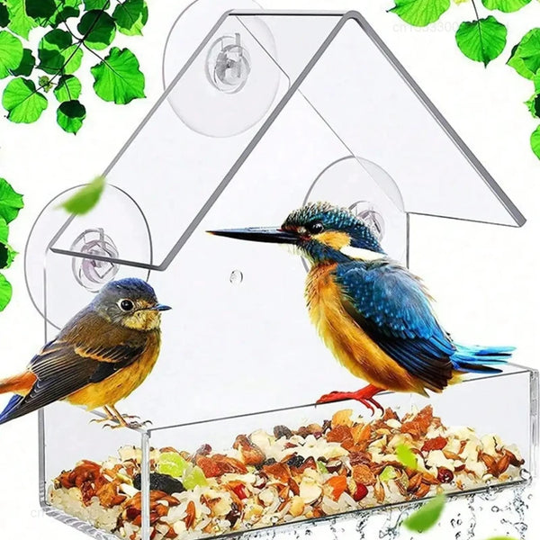 A clear window hanging bird feeder with a house shape, containing bird seed and featuring a colorful bird.