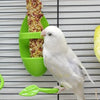 A white parrot is feeding from a green shuttlecock style cuttlebone on a wire grid.
