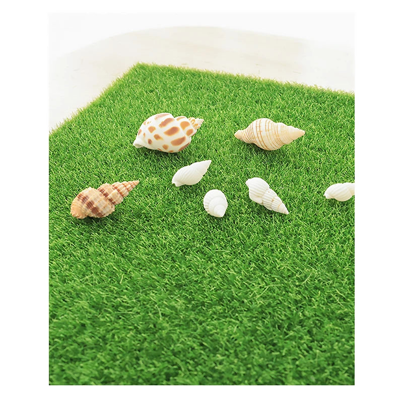 Zwei Muscheln liegen auf künstigem grünem Rasen.