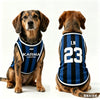 A brown dog wearing a blue and black striped tank top sits for a photo.