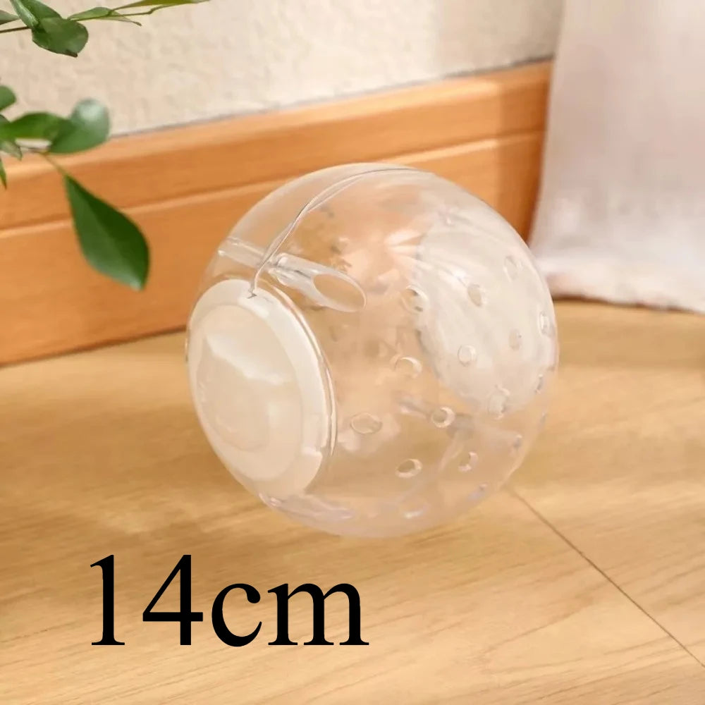 A clear plastic ball used for hamster exercise and play, shown on a wooden surface.