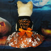 A fluffy white dog wearing an orange and silver Halloween princess dress with a bow against a dark background.