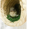 A small, fluffy brown bird is visible inside a woven straw nest for pet avians.