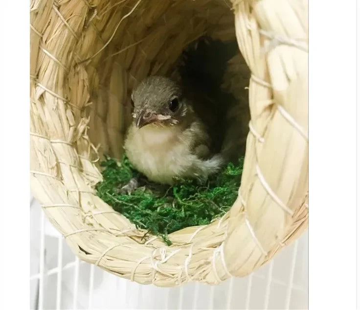 A small, fluffy brown bird is visible inside a woven straw nest for pet avians.