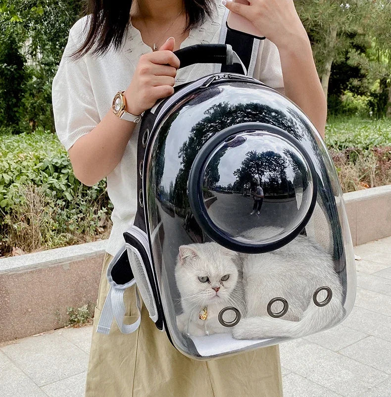 A person holds a transparent pet carrier backpack with a cat inside outdoors.