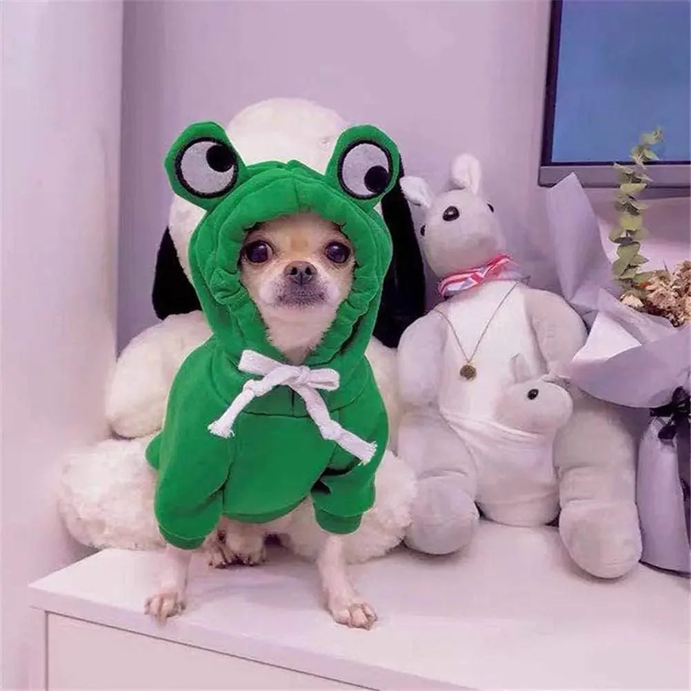 Ein weißer Hund trägt einen grünen, froschförmigen Hoodie zum Cosplay.