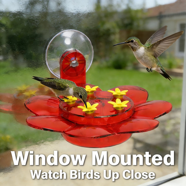 Window mounted bird feeder featuring a hummingbird and a small bird, with red and yellow components.