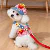 A white dog wearing a red and white checkered harness vest with fries decorations and attached to a leash.
