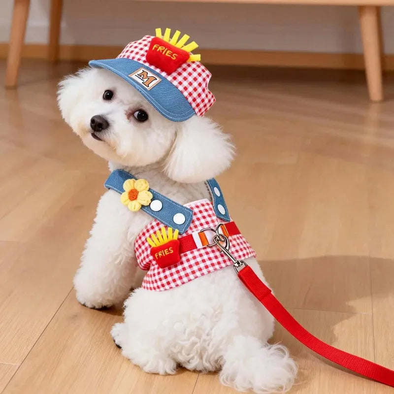 A white dog wearing a red and white checkered harness vest with fries decorations and attached to a leash.