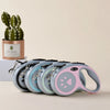 Laisse de chien en nylon rose et gris rétractable à côté d'un cactus en pot.