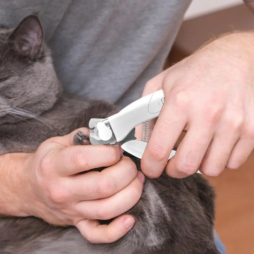 A person is using professional LED pet nail clippers to trim the nails of a gray cat.
