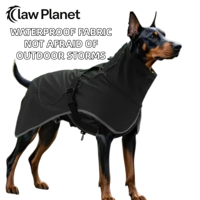 A black waterproof fabric dog coat is shown on a dog outdoors.