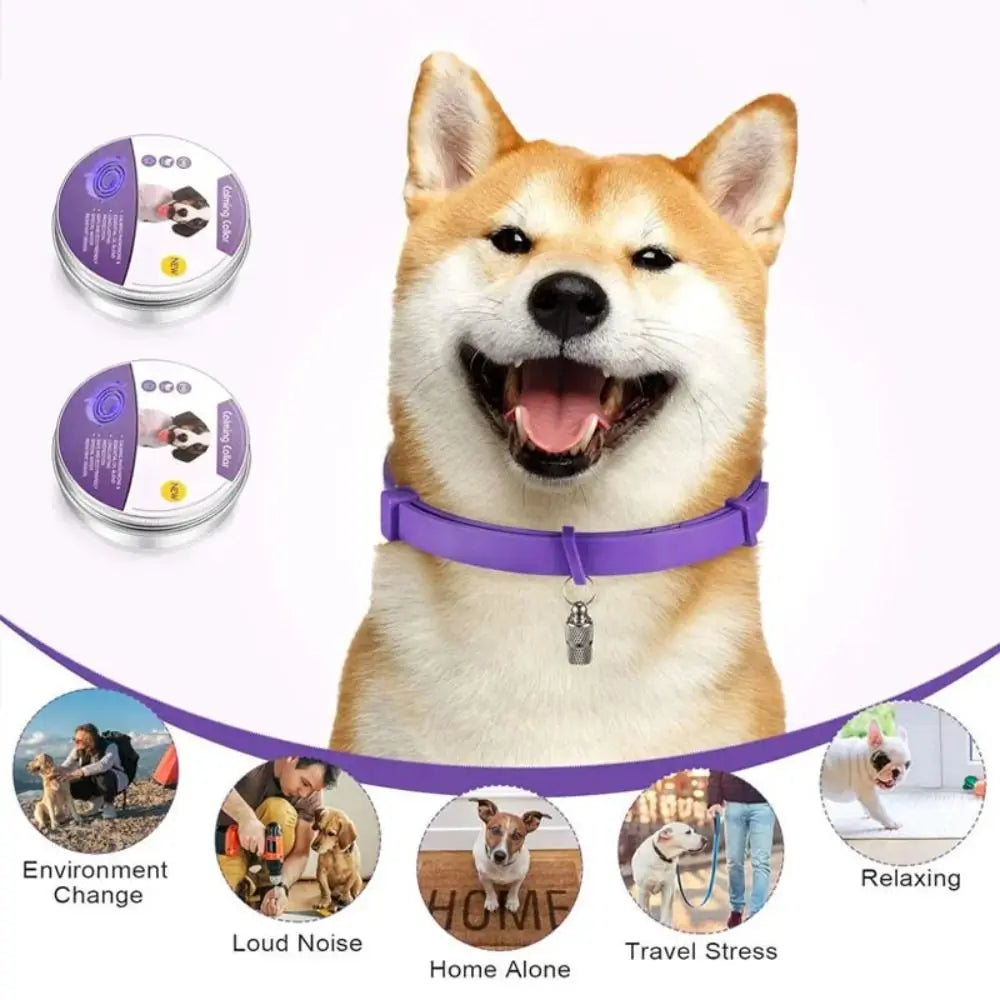Glücklicher Shiba Inu Hund mit lila beruhigendem Halsband, umgeben von Symbolen verschiedener Situationen.