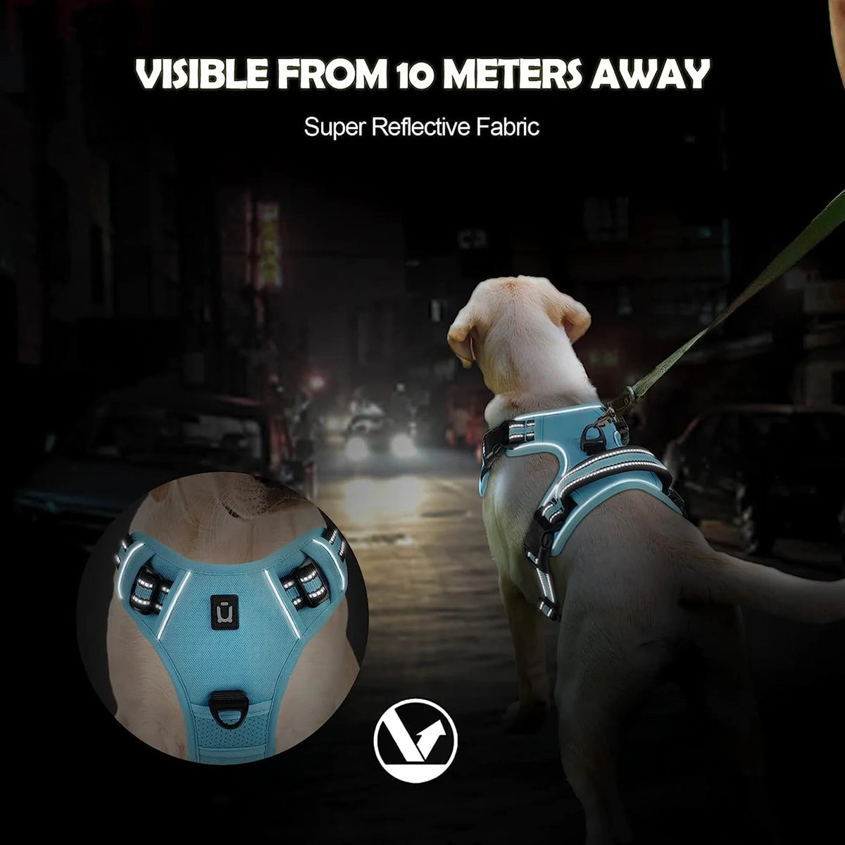 A close-up view of a light blue padded pet vest harness designed for dogs.