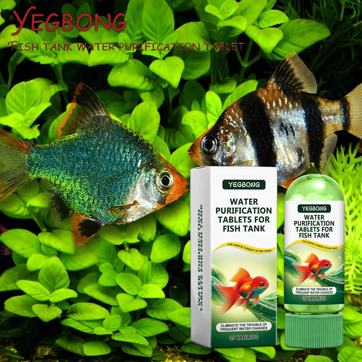 Comprimés de purification d'eau pour aquarium, à côté d'un poisson tropical dans des plantes aquatiques vertes