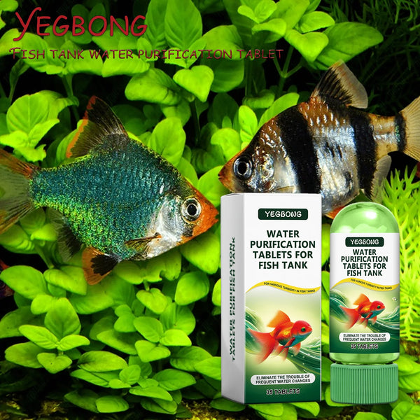 Comprimés de purification d'eau pour aquarium, à côté d'un poisson tropical dans des plantes aquatiques vertes