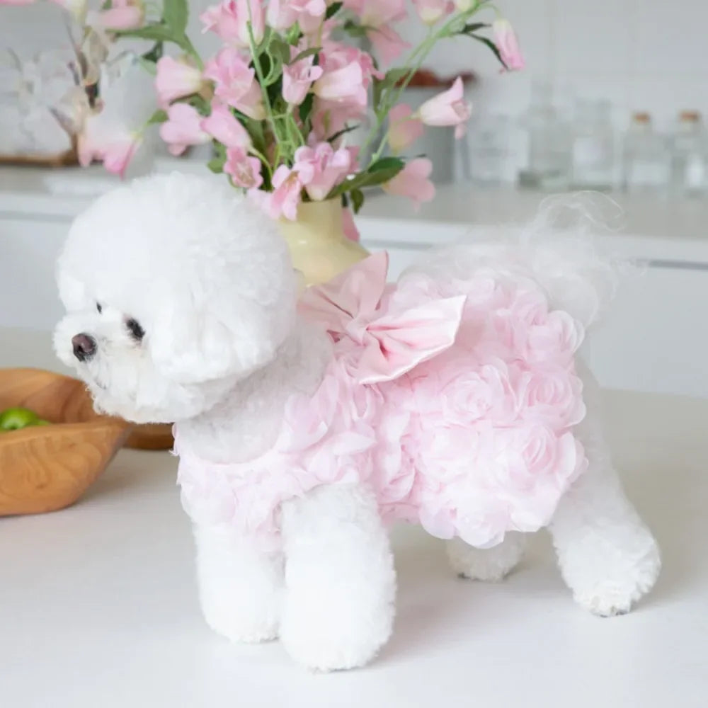 Un perro blanco esponjoso vistiendo un vestido de mascota floral rosa, sentado sobre una superficie blanca.