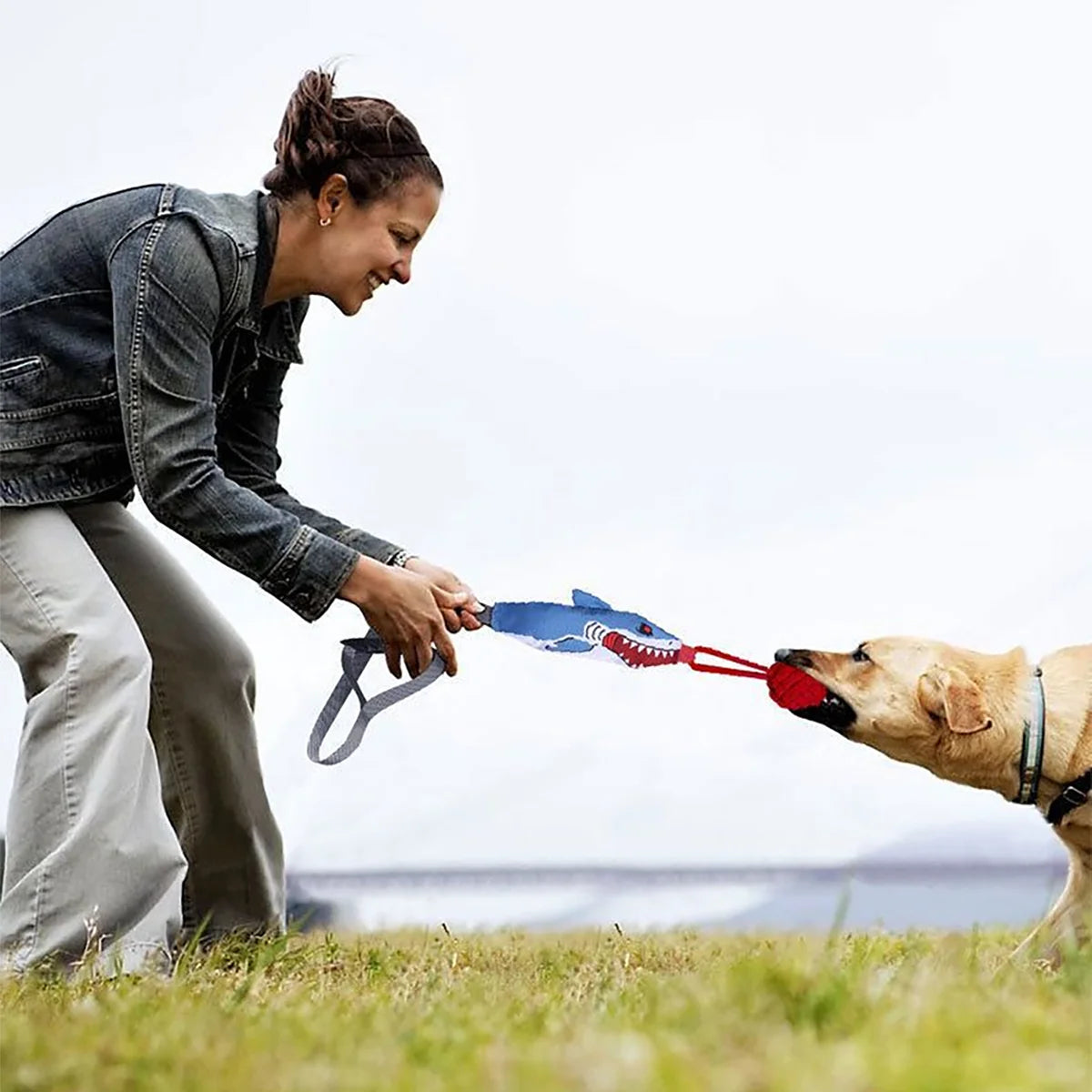 A woman is using an interactive tug of war rope toy to play with a dog outdoors.