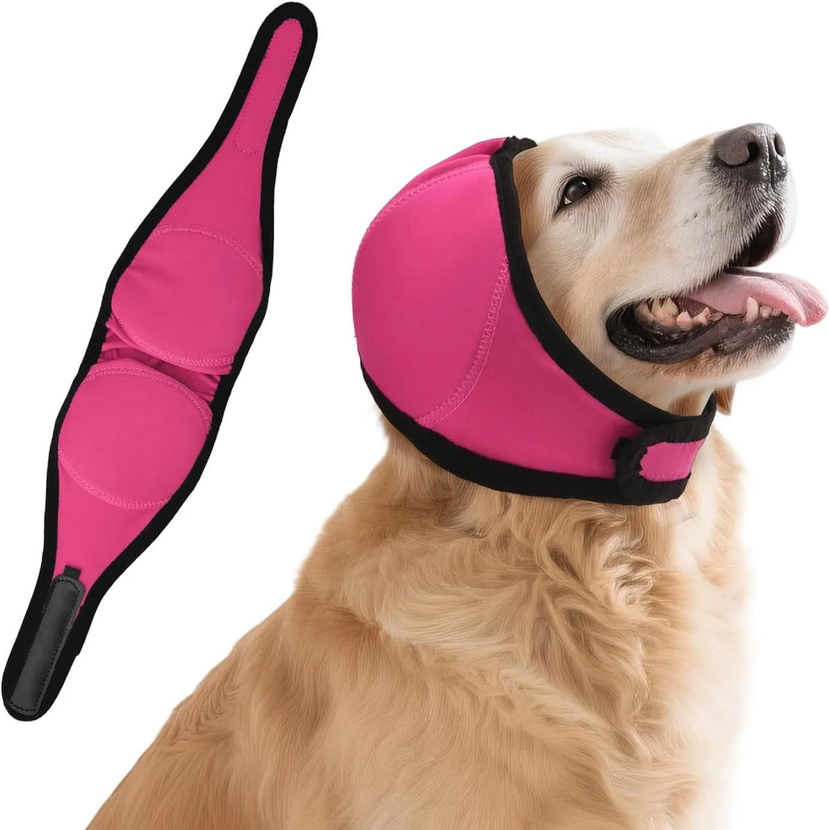 A light brown dog is wearing a bright pink noise reduction ear muff on its head.