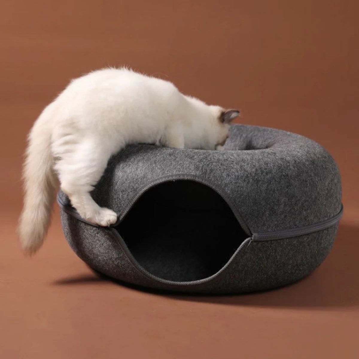 A white cat is resting inside a gray felt cat bed with a tunnel hideaway.