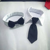 White adjustable formal bow tie collar for cats and small dogs with a black bowtie.