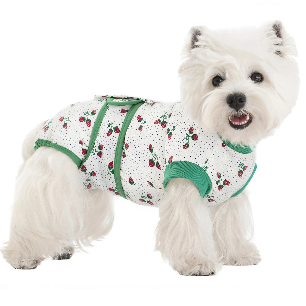 A white fluffy dog wearing a green patterned recovery suit for post-surgery protection.