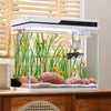 A clear glass aquarium hideout tube with artificial plants and gravel for Betta fish