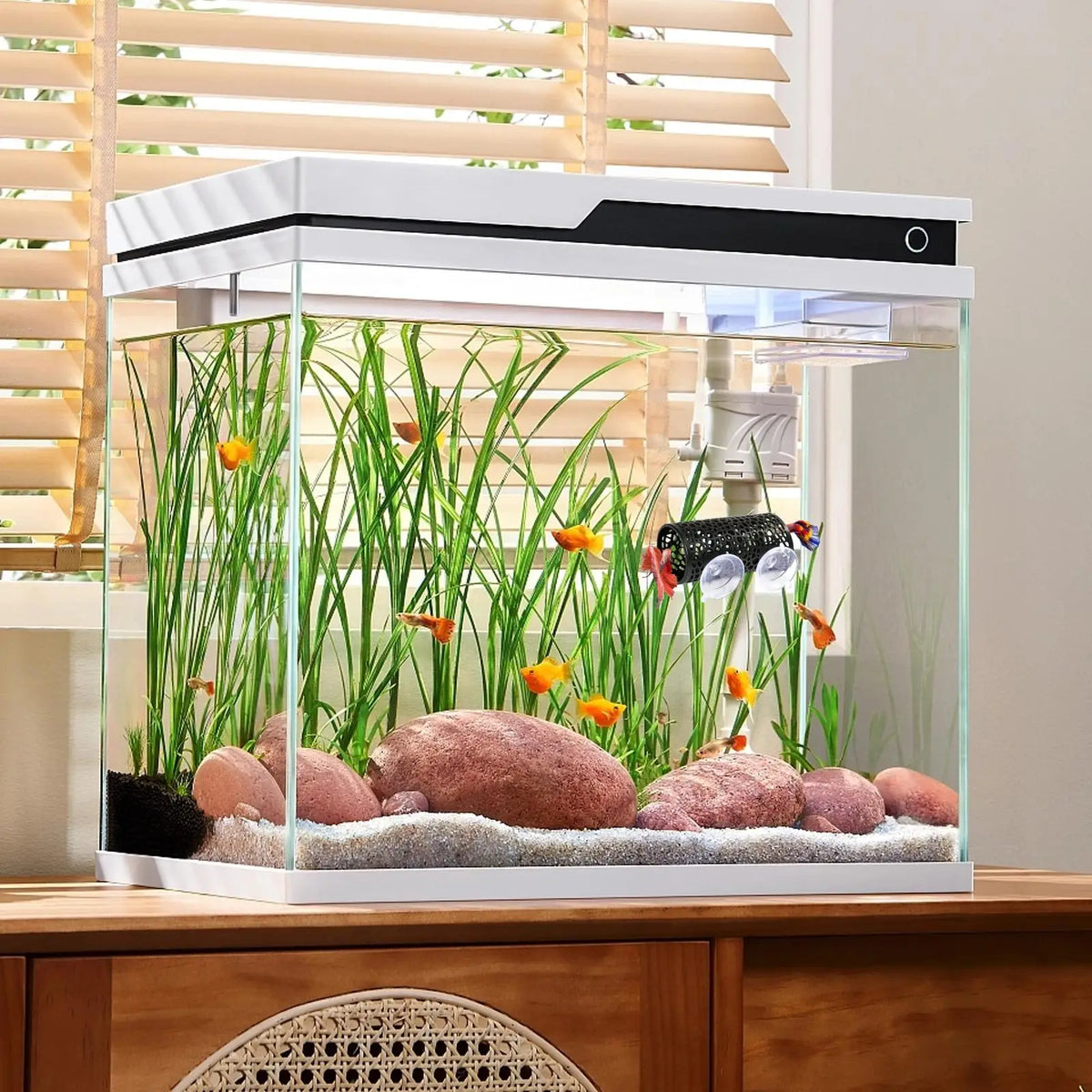 A clear glass aquarium hideout tube with artificial plants and gravel for Betta fish