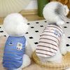 A white dog wearing a striped blue cooling vest sits on a light surface.