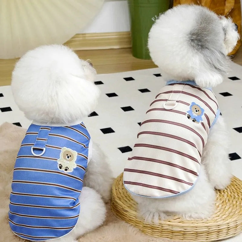 A white dog wearing a striped blue cooling vest sits on a light surface.