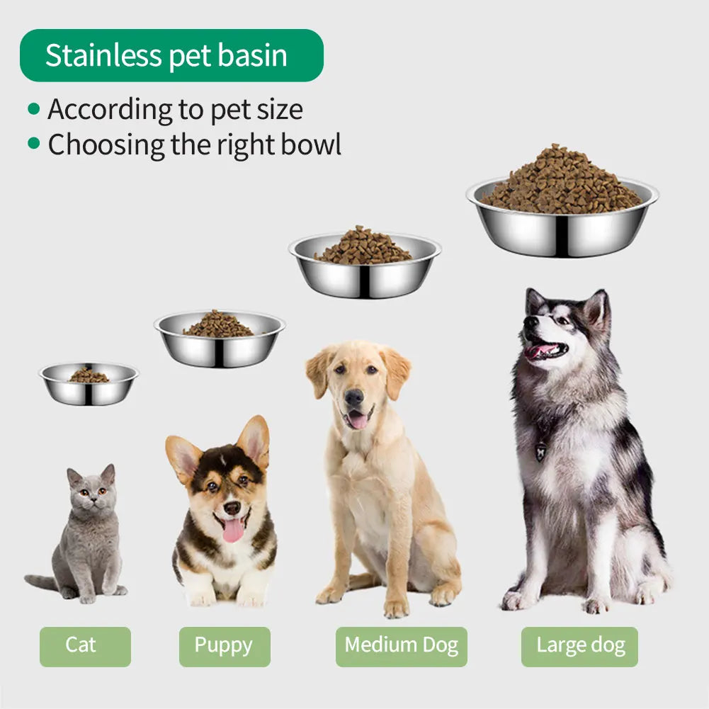 Stainless steel pet feeding bowls sized for cats, puppies, medium dogs, and large dogs.