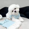 A fluffy white dog wearing a light blue summer lightweight polo dress.
